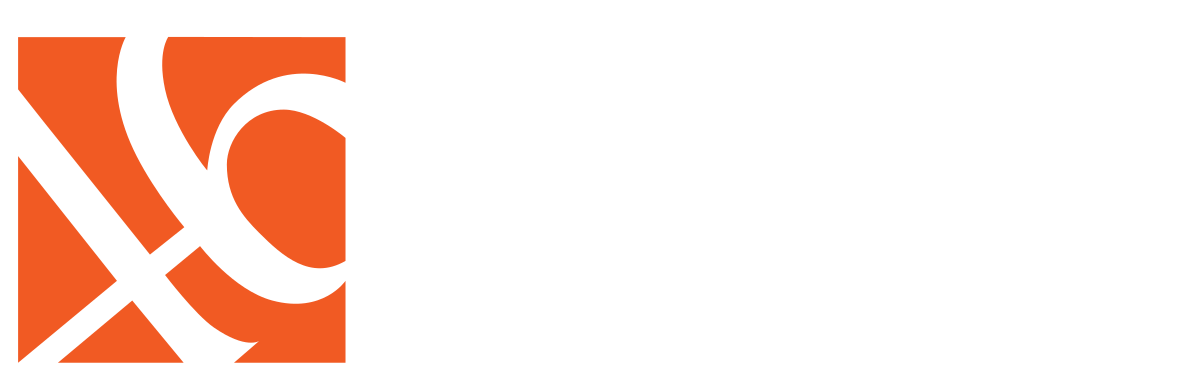 BNI RADENSPIN